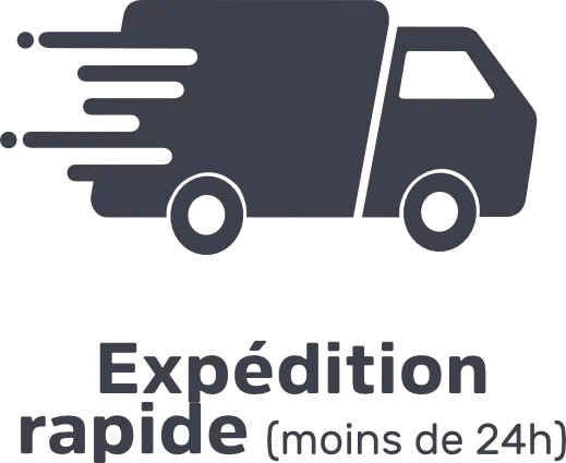 icône expédition rapide, en moins de 24 heures